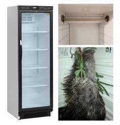 Wild 40 Wildkühlschrank mit Glastür 